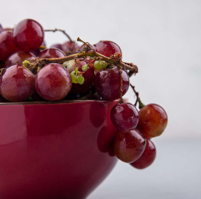 INWINECTUS CINSAULT ROSÉ