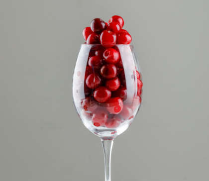 INWINECTUS MERLOT ROUGE